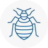 Bed Bug Extermination In Crediton