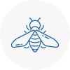 Bee Nest Removal Crediton