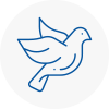 Bird Prevention Crediton