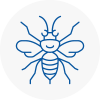 Crediton Hornet Nest Removals