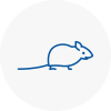 Mice Exterminators In Crediton