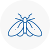 Moth Control Specialists In Crediton