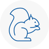 Crediton Rodent Removals